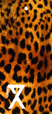 Ŭ���Ͻø� �� �������� �� ��������ũ�� ���Դϴ�.