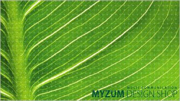 Ŭ���Ͻø� �� �������� �� ��������ũ�� ���Դϴ�.