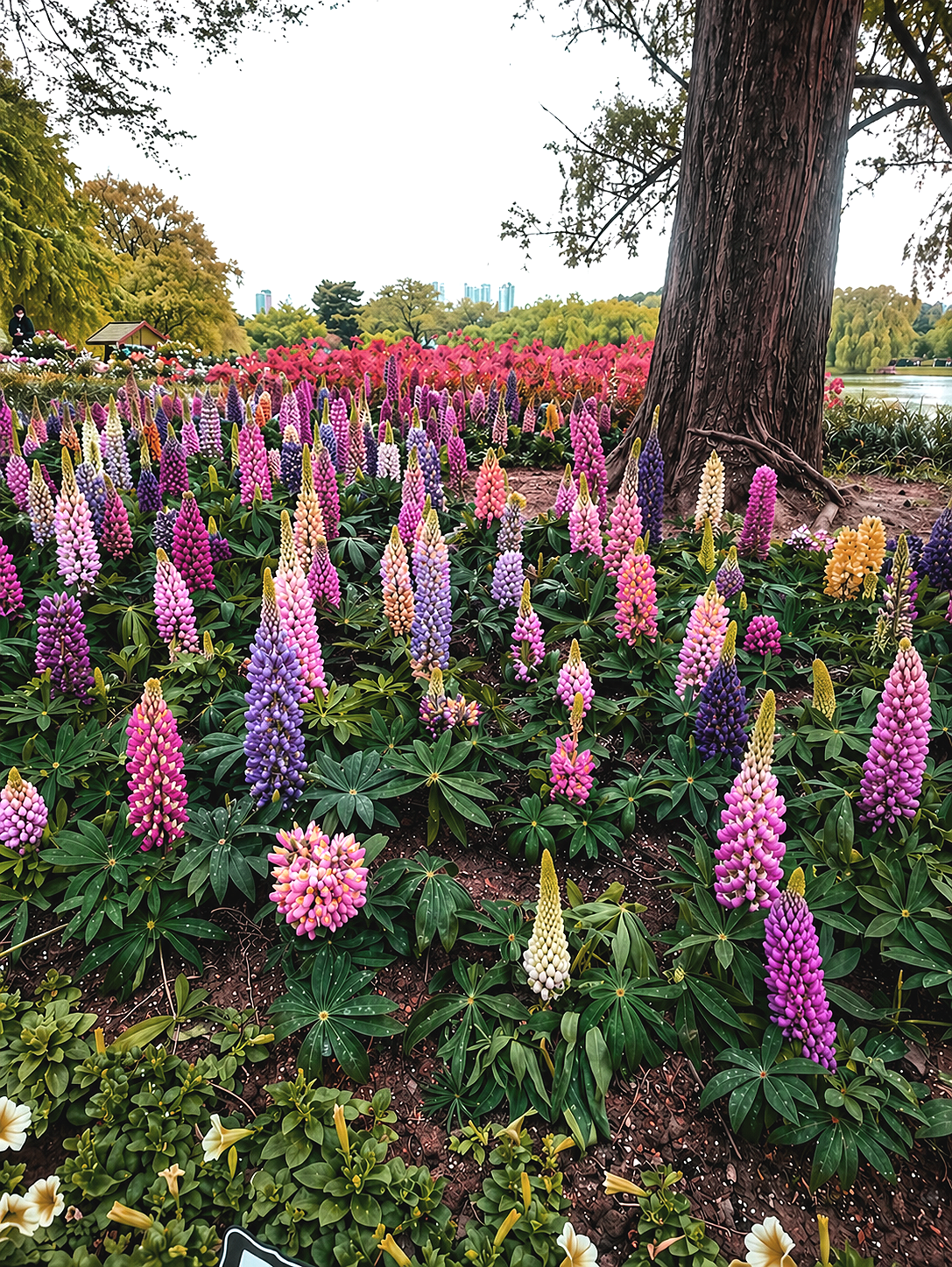 ���ǳʽ�! ����, �ູ, ���ο� ����